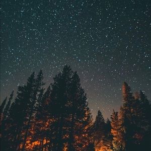 Meet your Posher, Carly